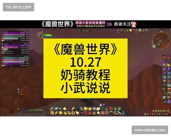 魔兽世界奶骑攻略:战场中的无敌支援 魔兽世界奶骑攻略:战场中的无敌支援